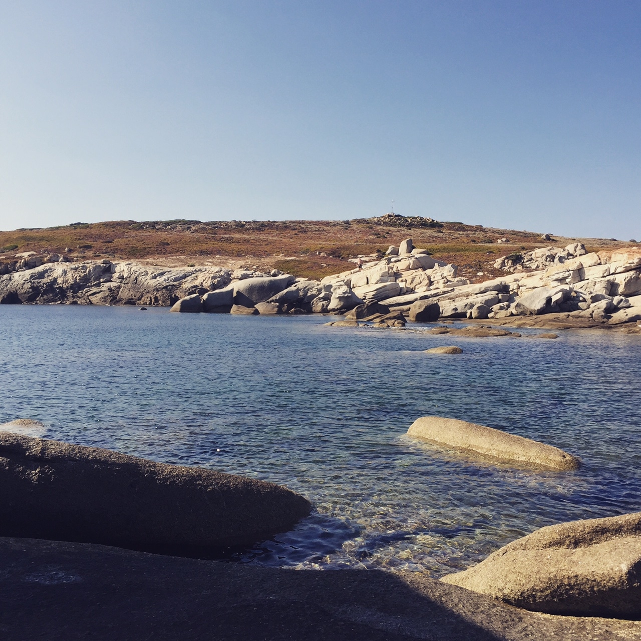 corse