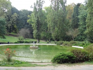DSC04085