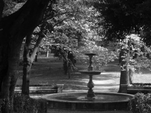 DSC04101