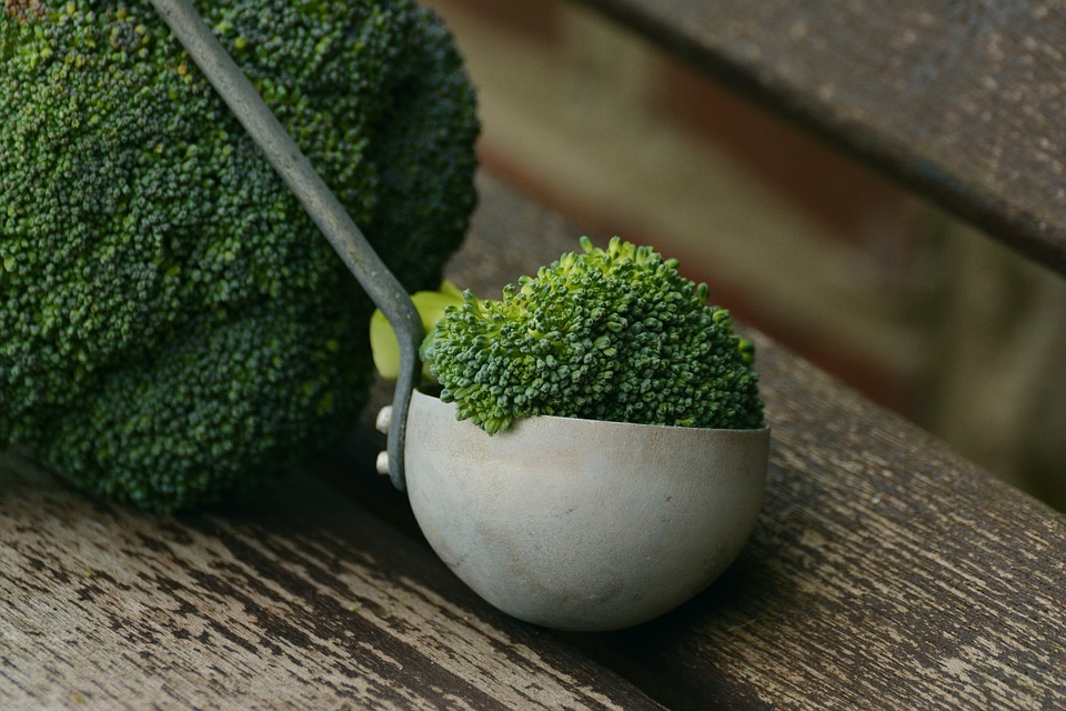 Alimentation et prévention des maladies 