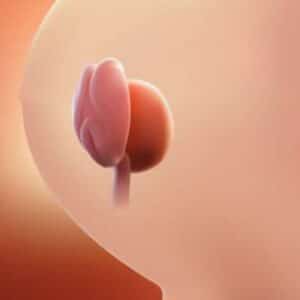 Newsletter #29 mai 2025 "Booster sa fertilité naturellement"