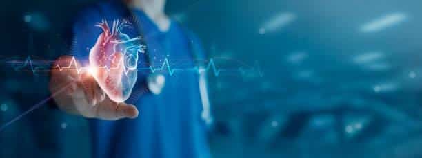 Newsletter #32 août 2025 "Un cœur en bonne santé"